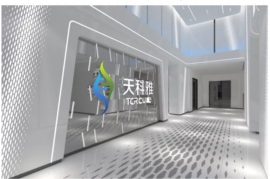 公司概况